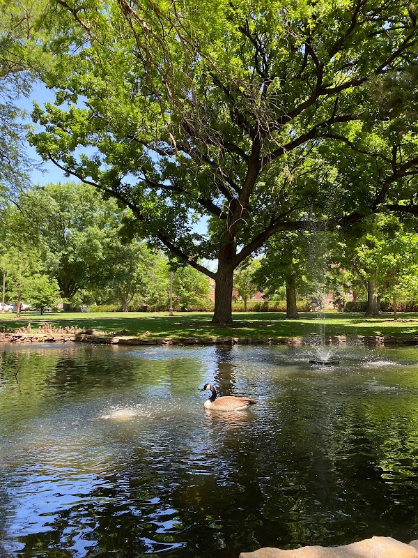 Oklahoma State University-Main Campus campus photo 3