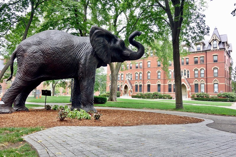 Tufts University campus photo 2