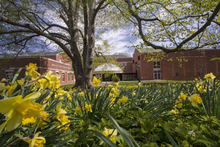 Drew University campus photo 2