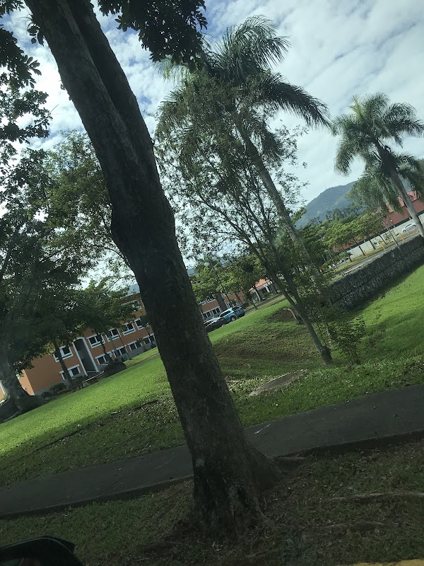 University of Puerto Rico-Utuado campus photo 3