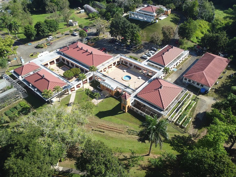 University of Puerto Rico-Utuado campus photo 4