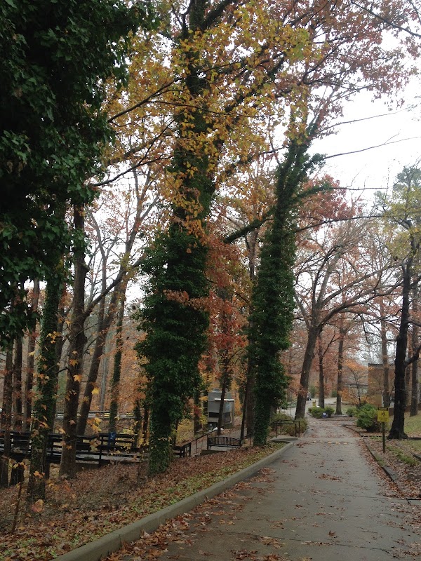 Danville Community College campus photo 4