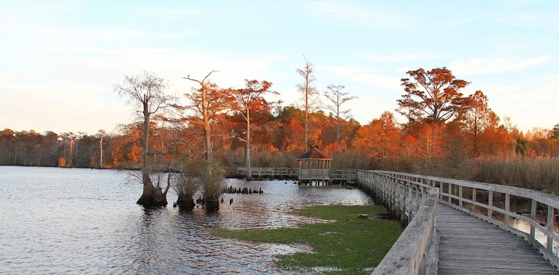 College of the Albemarle campus photo 3
