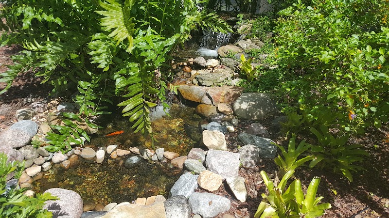 Hillsborough Community College campus photo 3
