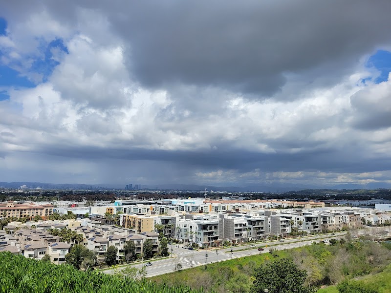 Loyola Marymount University campus photo 5