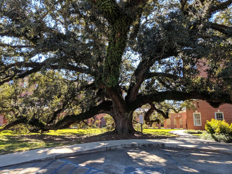 University of Louisiana at Lafayette campus photo 3