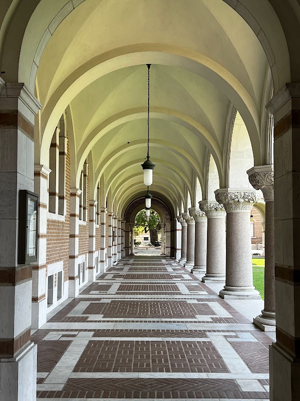 Rice University campus photo 4