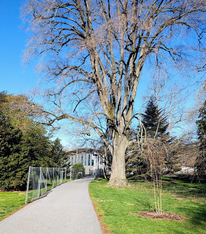Swarthmore College campus photo 5