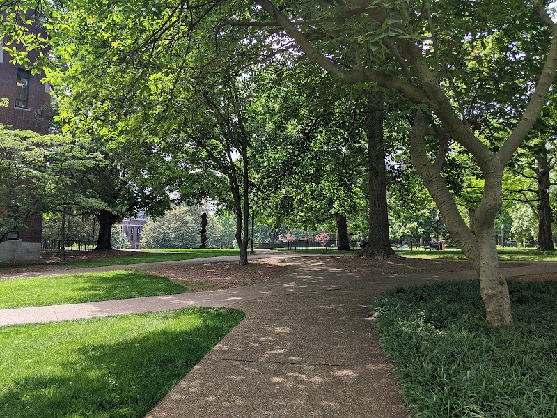 Vanderbilt University campus photo 4