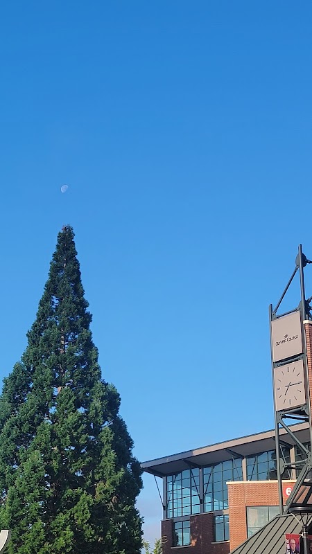 Olympic College campus photo 3