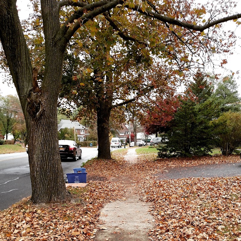 Maria College of Albany campus photo 3
