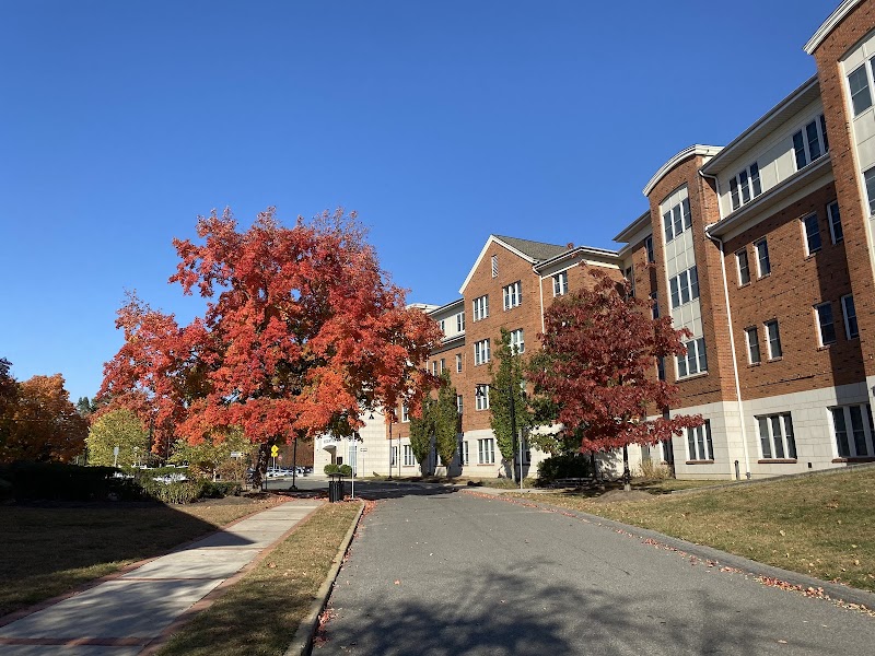 Mercy University campus photo 2