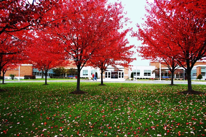 Cayuga County Community College campus photo 5