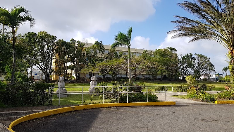 Caribbean University-Bayamon campus photo 2