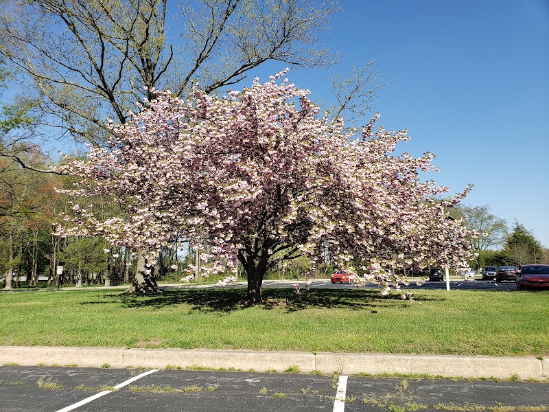 Delaware Technical Community College-Terry campus photo 4