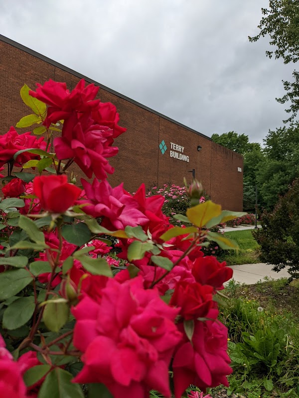 Delaware Technical Community College-Terry campus photo 5