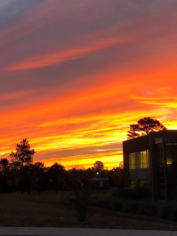 Middle Georgia State University campus photo 4