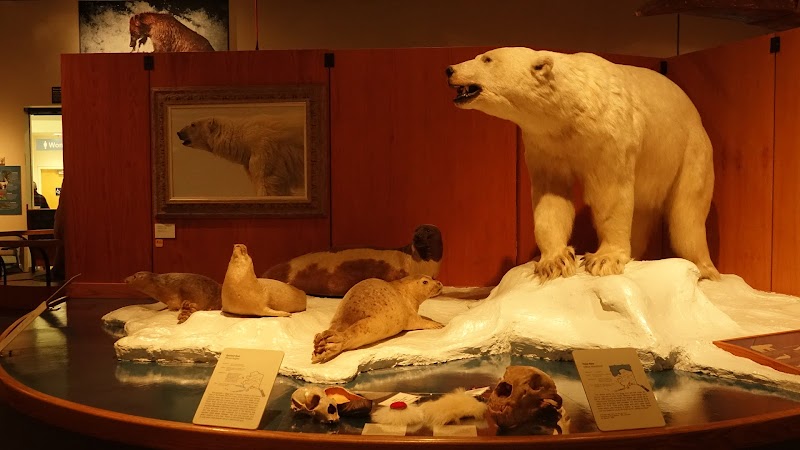 University of Alaska Fairbanks campus photo 4
