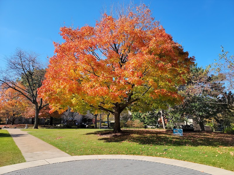 Case Western Reserve University campus photo 2