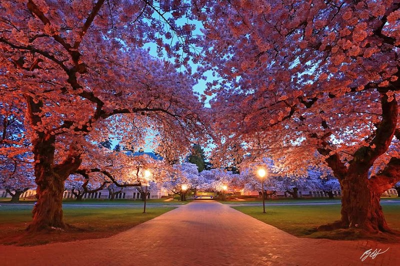University of Washington-Seattle Campus campus photo 2