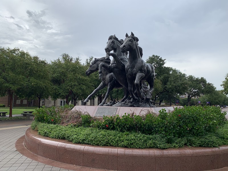 Southern Methodist University campus photo 3