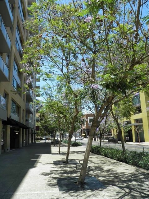 San Diego Global Knowledge University campus photo 5