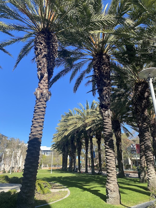 Santa Monica College campus photo 3