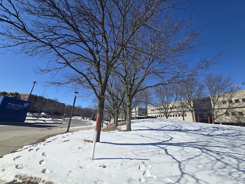 City Colleges of Chicago-Wilbur Wright College campus photo 3