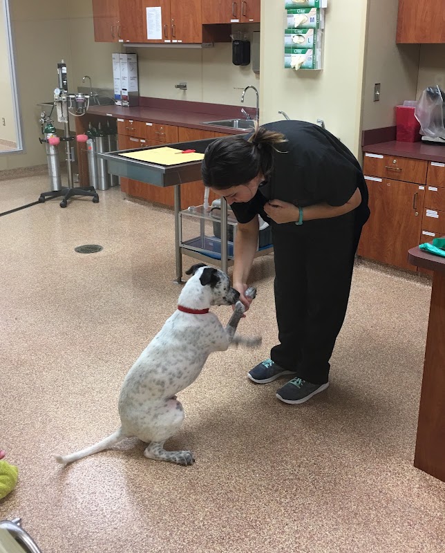 Vet Tech Institute of Houston campus photo 3