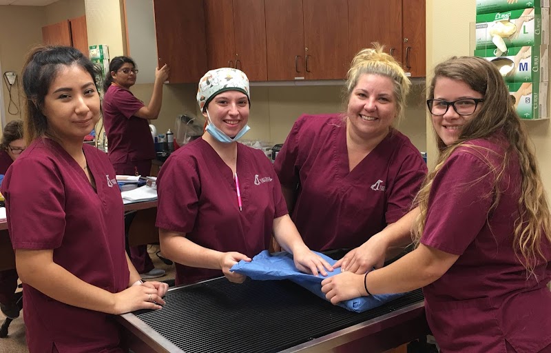 Vet Tech Institute of Houston campus photo 5