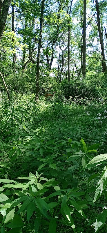 Ohio University-Zanesville Campus campus photo 5