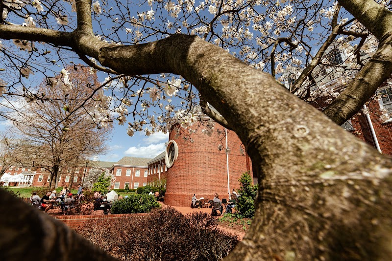 The Southern Baptist Theological Seminary campus photo 2