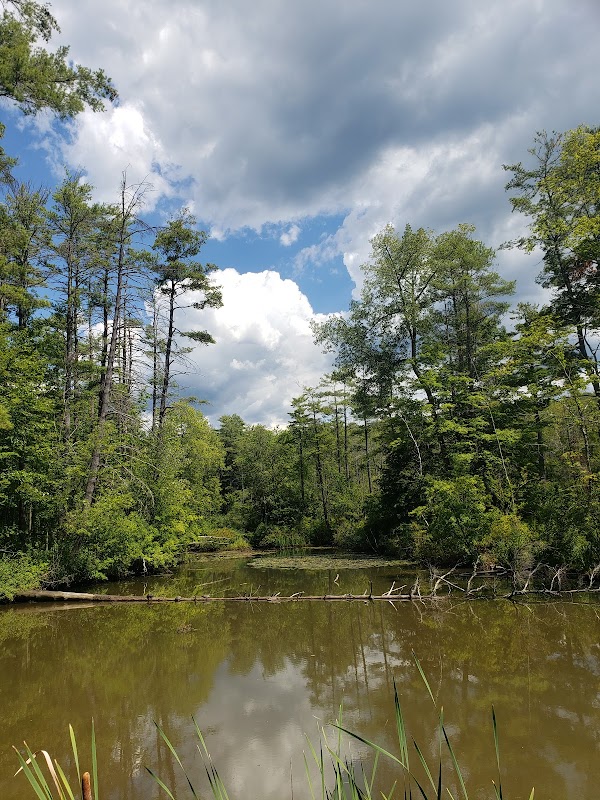 Bard College at Simon's Rock campus photo 2
