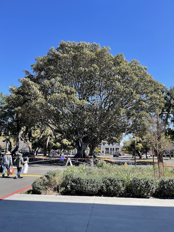 Golden West College campus photo 4