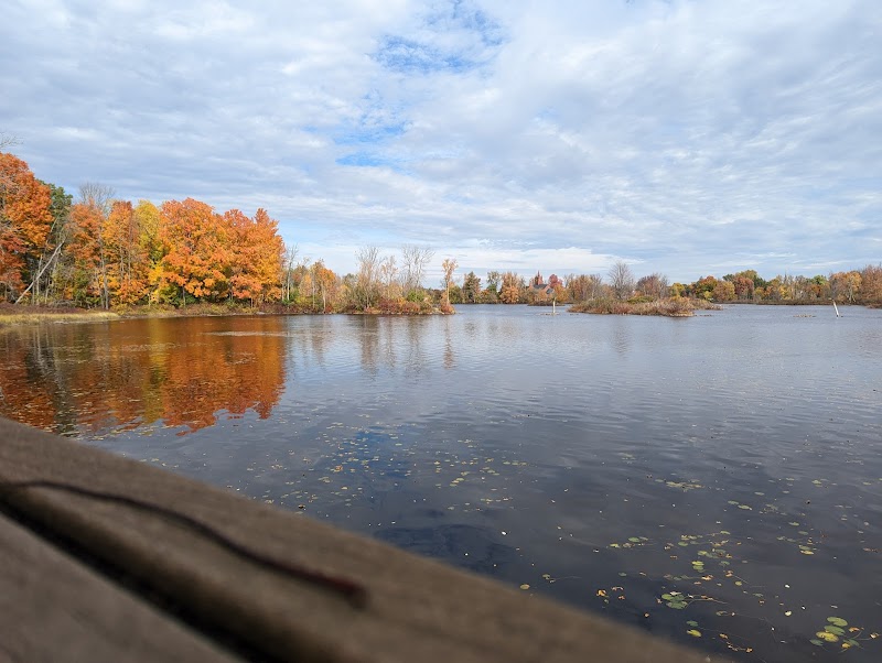 Clarkson University campus photo 4