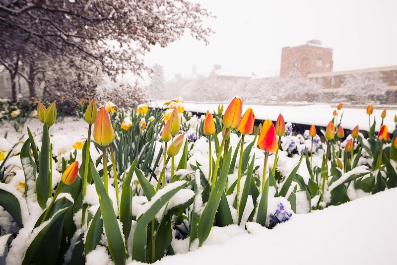 SUNY College at Geneseo campus photo 2