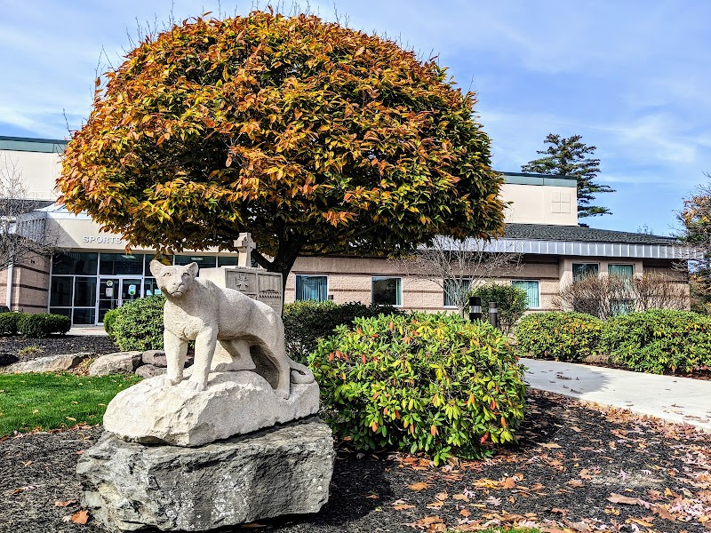 Misericordia University campus photo 5