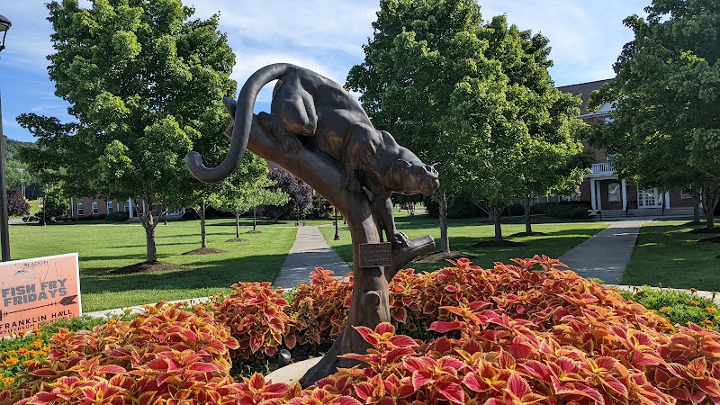 Ferrum College campus photo 3