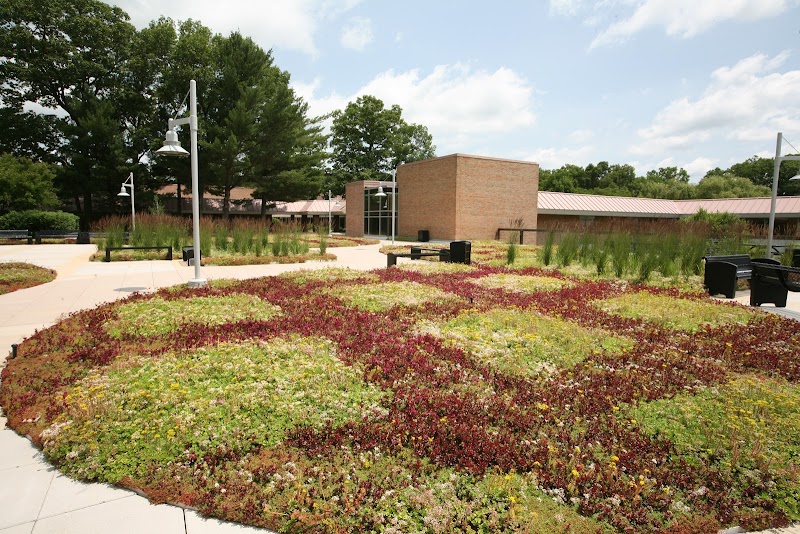 Muskegon Community College campus photo 3