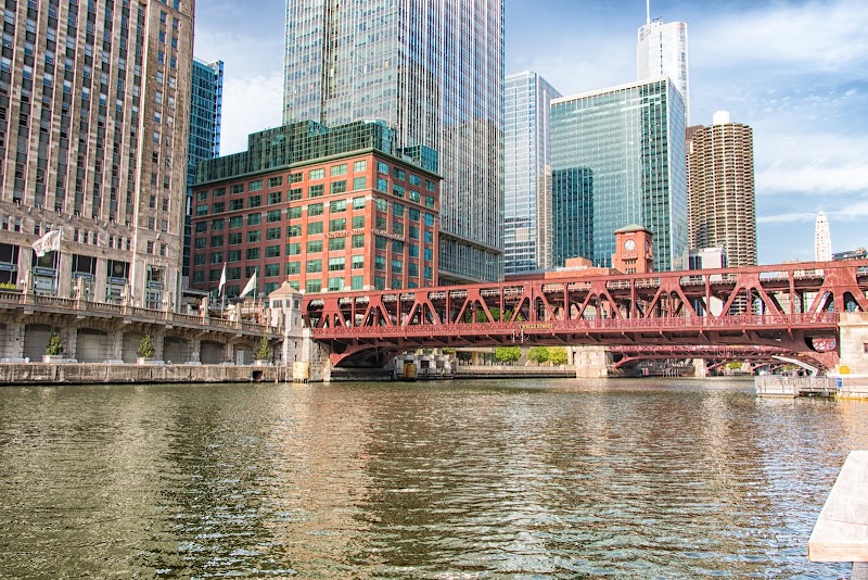 The Chicago School at Chicago campus photo 2