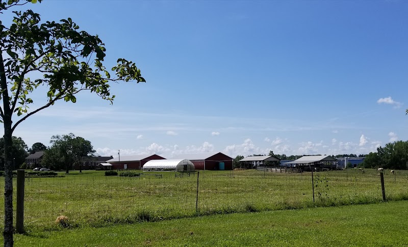 Wilmington College campus photo 5