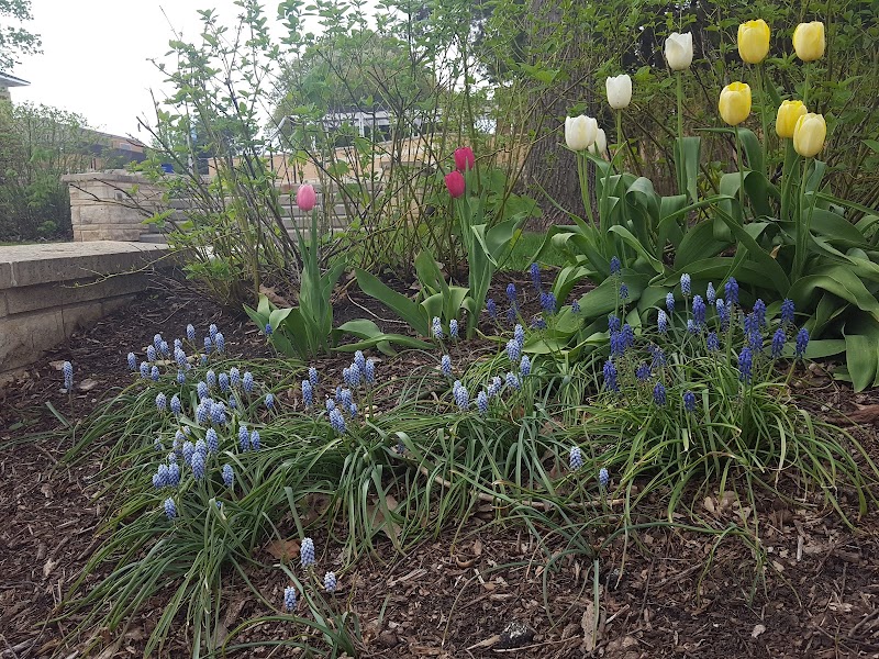 Upper Iowa University campus photo 2