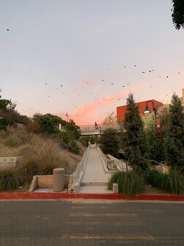 Saddleback College campus photo 5