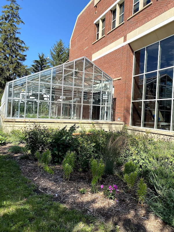 Carleton College campus photo 2