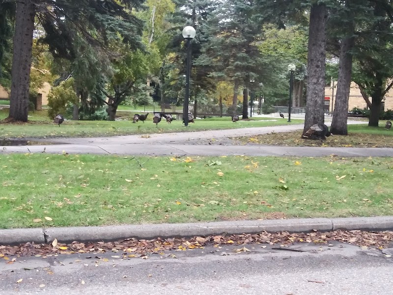Concordia College at Moorhead campus photo 5