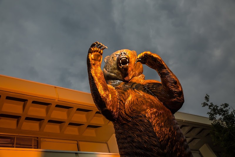 Mercer University campus photo 4