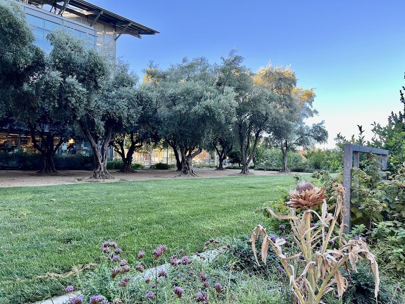 University of California-Davis campus photo 1