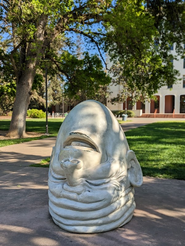 University of California-Davis campus photo 2