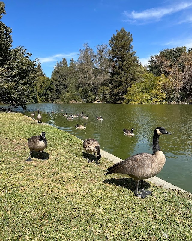 University of California-Davis campus photo 3