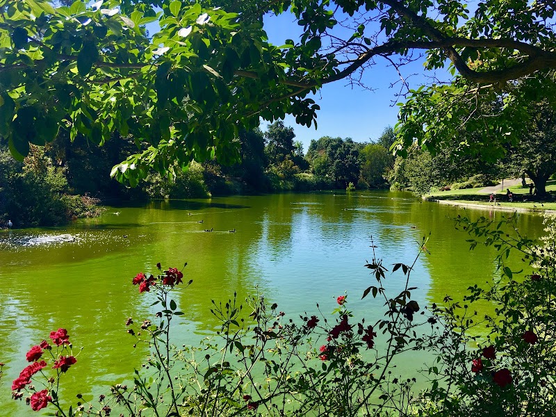 University of California-Davis campus photo 4